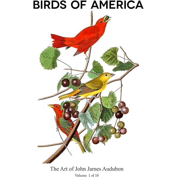 Birds of the Eastern Forest, Vol. 1: Lansdowne, James Fenwick